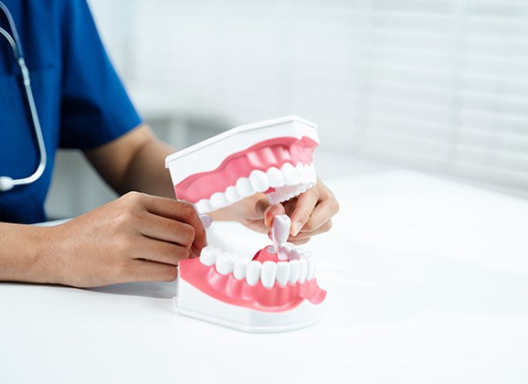 Dental assistant showing tooth extraction on model of mouth